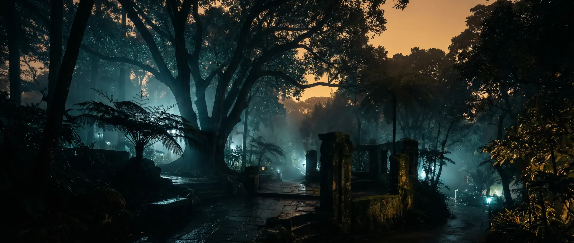 17c一起草珍稀兰花视频教程